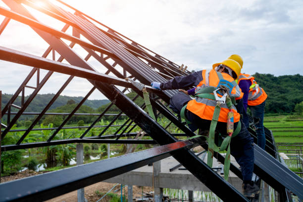 Best Roof Gutter Cleaning  in Crosbyton, TX